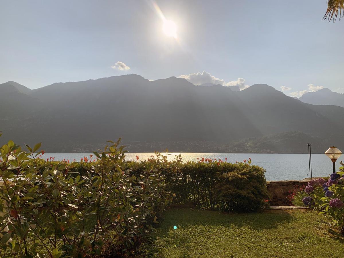 شقة Terrace On The Lake Oliveto Lario المظهر الخارجي الصورة